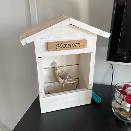 Goekboet Villa Broddetorp Екстериор снимка